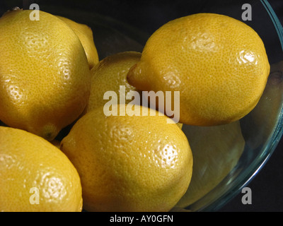 I limoni gialli interi in una ciotola di vetro sopra dall'alto nessuno su sfondo nero primo piano fotografa nessuno orizzontale negli Stati Uniti ad alta risoluzione Foto Stock