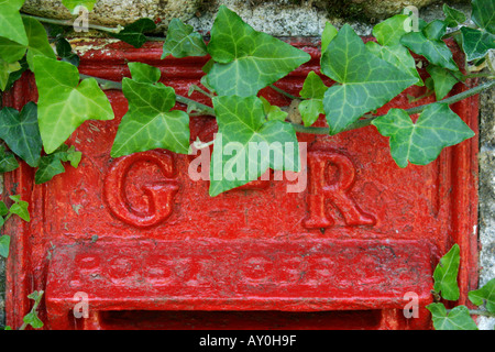 Red uk George V postbox circondato da edera Foto Stock