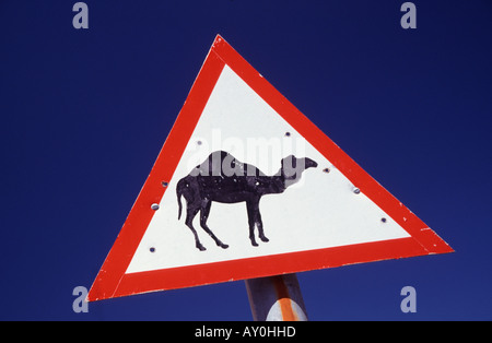 Cartello stradale negli Emirati arabi uniti emirati arabi uniti di avvertimento del cammello strada di attraversamento medio oriente Foto Stock