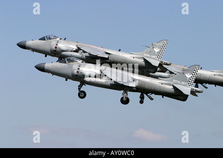 Navy Sea Harriers in formazione di volo display Foto Stock