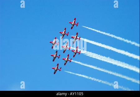 Le forze canadesi Snowbirds aria team acrobatico volare in formazione Foto Stock