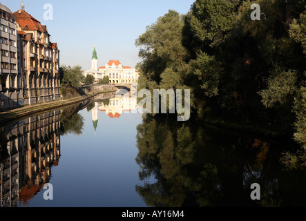 Riflessi nel fiume Crisul Repede. Oradea, Crisana, Romania Foto Stock