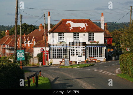 Il White Horse Bodle al Green Street East Sussex Foto Stock