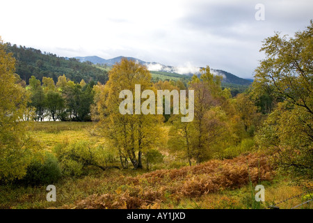 Fiume Dee campi e foreste in autunno. La Scozia, Royal Deeside, Cairngorms National Park, Regno Unito Foto Stock
