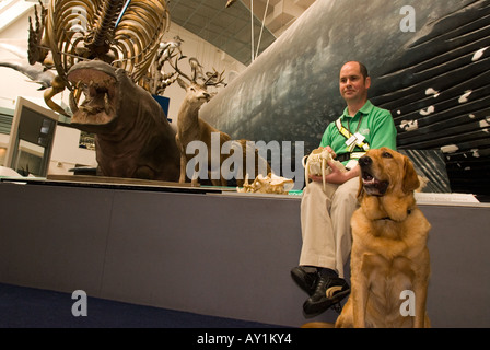 Cieco con il suo cane guida all'interno del Museo di Storia Naturale dove lavora come un volontario, Londra, Regno Unito. Foto Stock