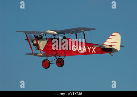 Martlet meridionale con cielo blu sullo sfondo Foto Stock