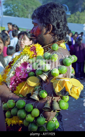 Pelle uomo trafitto con ganci e calce in occasione dell'annuale festival indù di Thaipusam nelle Grotte Batu vicino a Kuala Lumpu Foto Stock