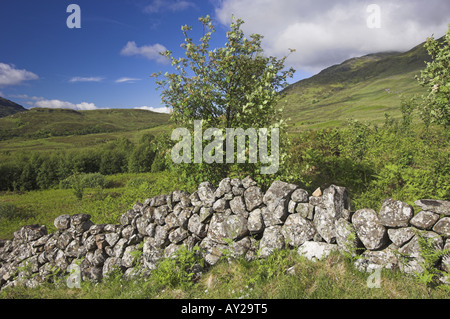 Creag Meagaidh Riserva Naturale Nazionale, nelle Highlands Scozzesi. Foto Stock