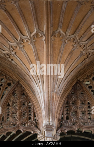 Dettaglio del rood schermo nella chiesa parrocchiale di Santa Maria Vergine a Westonzoyland Foto Stock