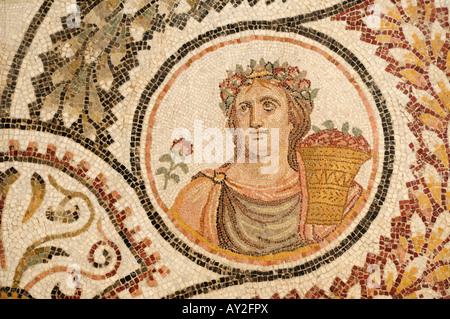 Mosaico, il Museo di Bardo Tunis Tunisia Foto Stock