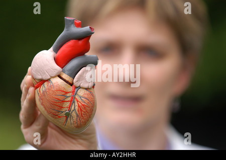 Donna che mantiene un modello anatomico del cuore umano Foto Stock