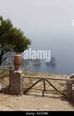 Una vista attraverso gli alberi delle scogliere e faraglioni nella baia di Napoli a Capri prelevato da una posizione elevata Foto Stock