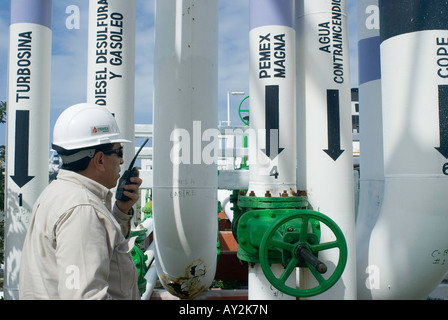 Un sistema di condotti porta idrocarburi raffinato alle navi cisterna e anche riceve in entrata il petrolio greggio a Pemex Pajaritos complessa Foto Stock