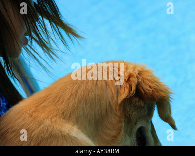 Close-up di una giovane donna a bordo piscina con un golden retriever cane Foto Stock