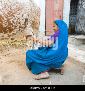 Proprietari di casa nei villaggi rurali in Gujarat hanno il loro bestiame; qui è una donna mano mungere la sua mucca nella vecchia tradizione. Foto Stock