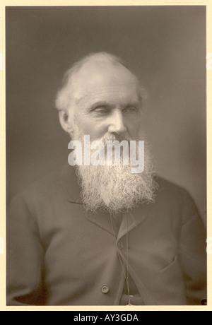 Lord Kelvin Downey Foto Stock