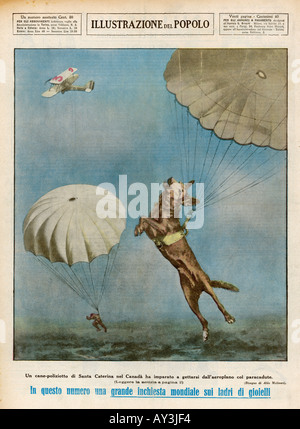 Cane paracadutista Foto Stock