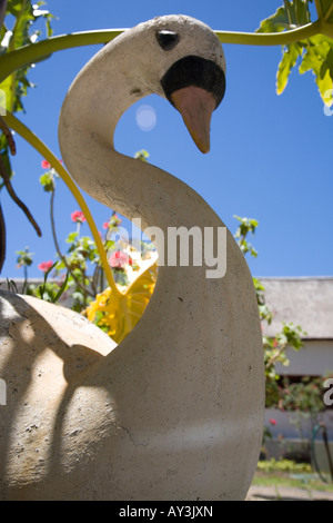 Cigno ceramica dal lato della piscina presso agriturismo a Paarl Foto Stock