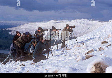 Fotografi di paesaggi innevati, Cairngorms, Highland, Scotland, Regno Unito Foto Stock