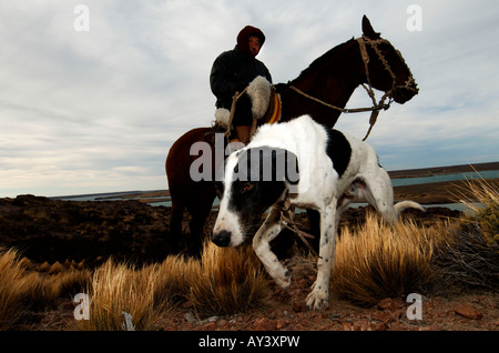La Patagonia Argentina Puerto Deseado gaucho pattugliano la pampa a cavallo con il suo cane Foto Stock