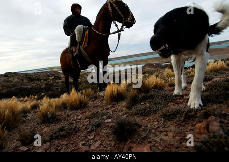 La Patagonia Argentina Puerto Deseado gaucho pattugliano la pampa a cavallo con il suo cane anomalo Foto Stock