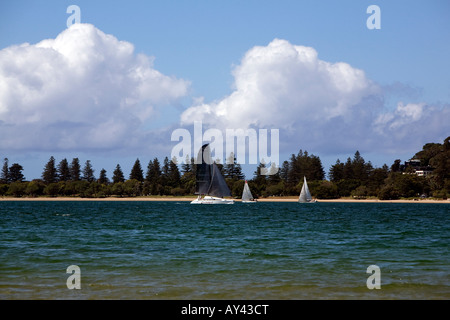 Vista dalla spiaggia di sgombri verso barrenjoey beach e Pittwater,Sydney , Australia Foto Stock