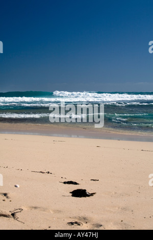 La spiaggia e l'oceano a Prevelly Park, Margaret River Western Australia Foto Stock