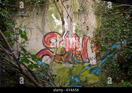 Graffiti ricoperti di vegetazione in un sito brownfield fabbrica. Graffiti recouverts de végétation dans une usine désaffectée. Foto Stock