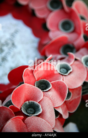 La brina e il ghiaccio sul Giorno del Ricordo papaveri presso la War Memorial, York, Yorkshire, Regno Unito. Foto Stock