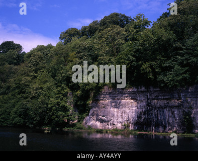 Una roccia calcarea dalle banche fiume Wye fluente attraverso Monsal Dale vicino a Bakewell Parco Nazionale di Peak District Derbyshire Foto Stock