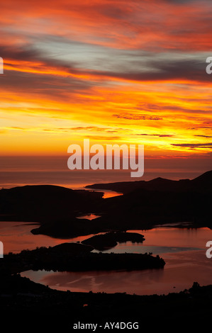 Alba vista del porto di Otago e la penisola di Otago da Mt Cargill Dunedin Isola del Sud della Nuova Zelanda Foto Stock