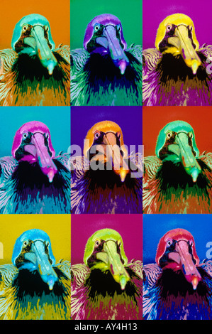 Pop Art immagine poster di pellicani Foto Stock