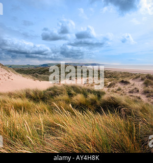 Ynslas guardando verso borth, vicino a Aberystwyth, Wales, Regno Unito Foto Stock