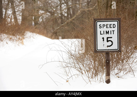 A 15 mph segnale di limite di velocità circondato dalla neve nel bosco Foto Stock