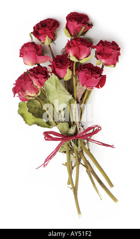 Mazzetto di essiccato rose rosse Foto Stock