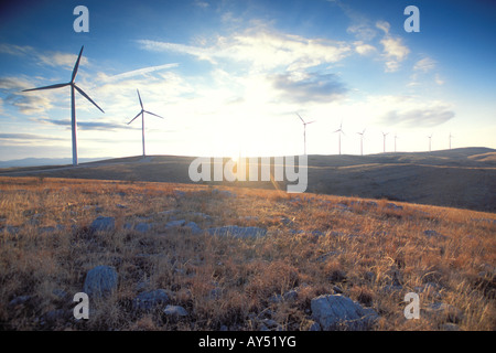 Le turbine eoliche al tramonto in una fattoria eolica Foto Stock