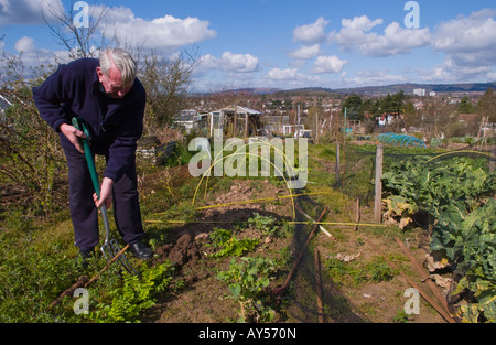 Uomo al lavoro su il suo orto a Lady Maria assegnazioni Cardiff South Wales UK UE Foto Stock