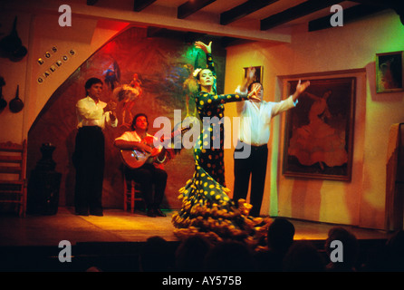 Spagna Flamenco a Siviglia Andalusia Club Los Gallos gruppo performing live Foto Stock