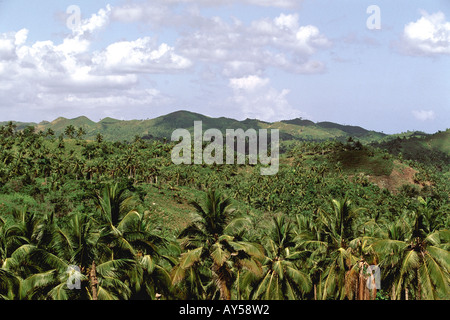 Repubblica Dominicana Penisola di Samana Foto Stock