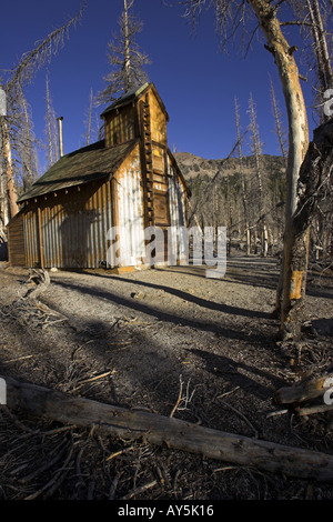 Cabina nella struttura ad albero area kill causato dalla naturale di emissione di biossido di carbonio a ferro di cavallo lago Mammoth California USA Foto Stock