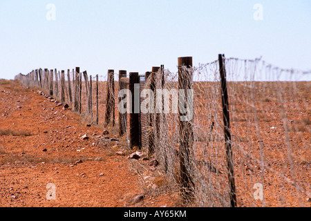 Australia Meridionale il recinto del cane Foto Stock