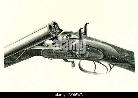 Fucile da caccia inglese. Illustrazione di antiquariato. 1889 Foto Stock