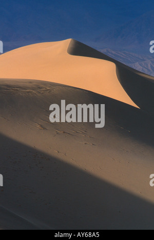 Mesquite Appartamenti dune di sabbia nella luce del mattino a valle della morte Foto Stock