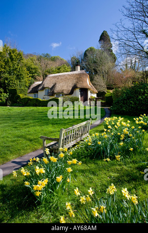 Graziosi cottage con tetto in paglia in Selworthy, Parco Nazionale di Exmoor, Somerset Foto Stock