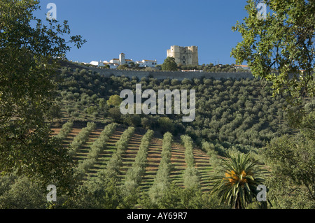 Portogallo Alentejo; Evoramonte; medievale cittadella fortificata vista sugli uliveti Foto Stock