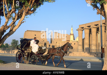 Egypte Vallée du Nil Louxor Temple de Louxor Fiacre Foto Stock