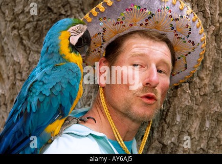 Signor 0489 questo artista mostra una bella amico piumato, al Cinco de Mayo fiesta in Carrizozo, Nuovo Messico. Foto Stock