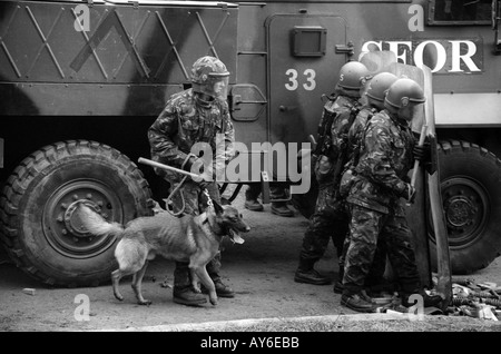 Gestore del cane dall'esercito britannico si prepara a prendere il suo cane di fronte gli scudi di fermare un Rioter Foto Stock