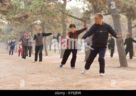 Taichi nel Parco Tiantan, Pechino Foto Stock