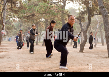 Taichi nel Parco Tiantan, Pechino Foto Stock